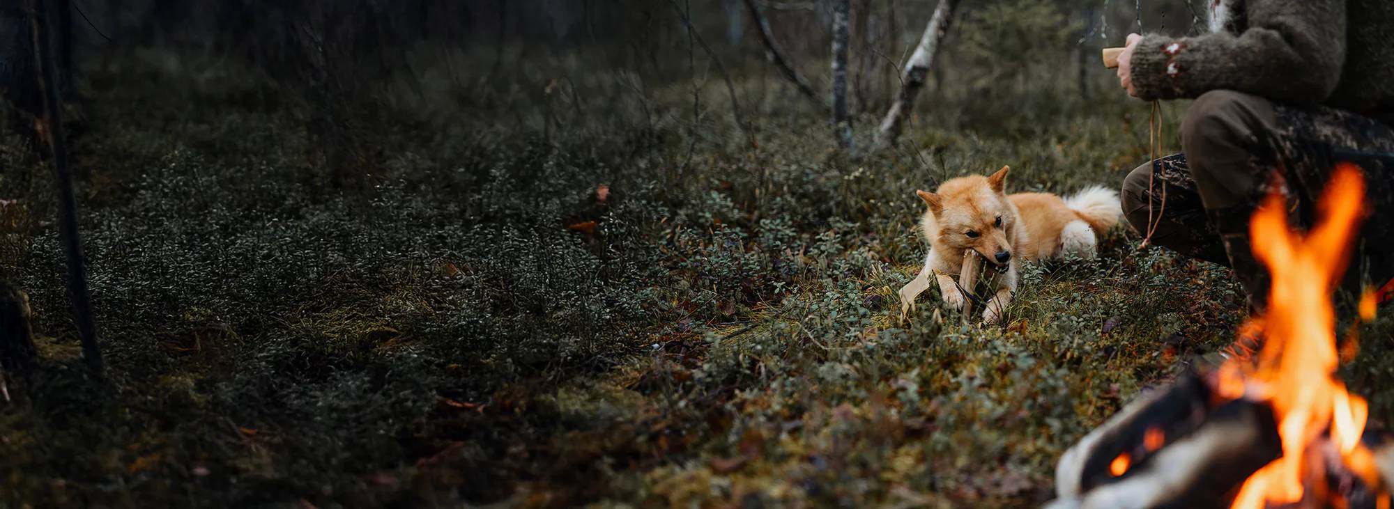 Köp svenska och giftfria tuggben till hundben